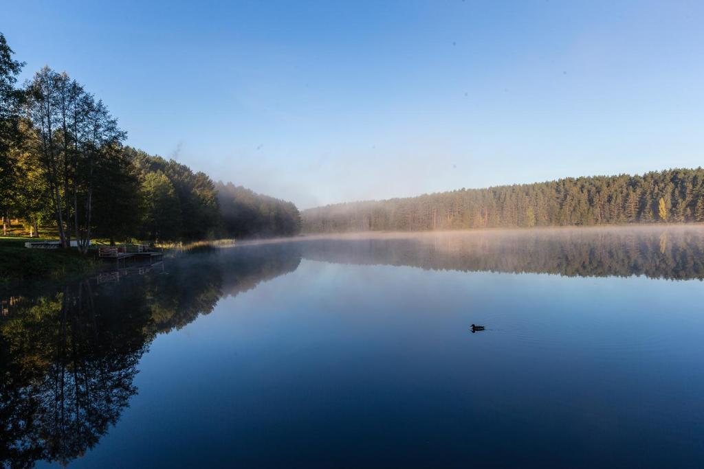 Zuvedra Otel Ignalina Dış mekan fotoğraf